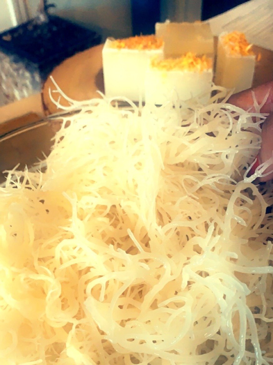 Sea moss Gel